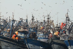 IMG_1032a
